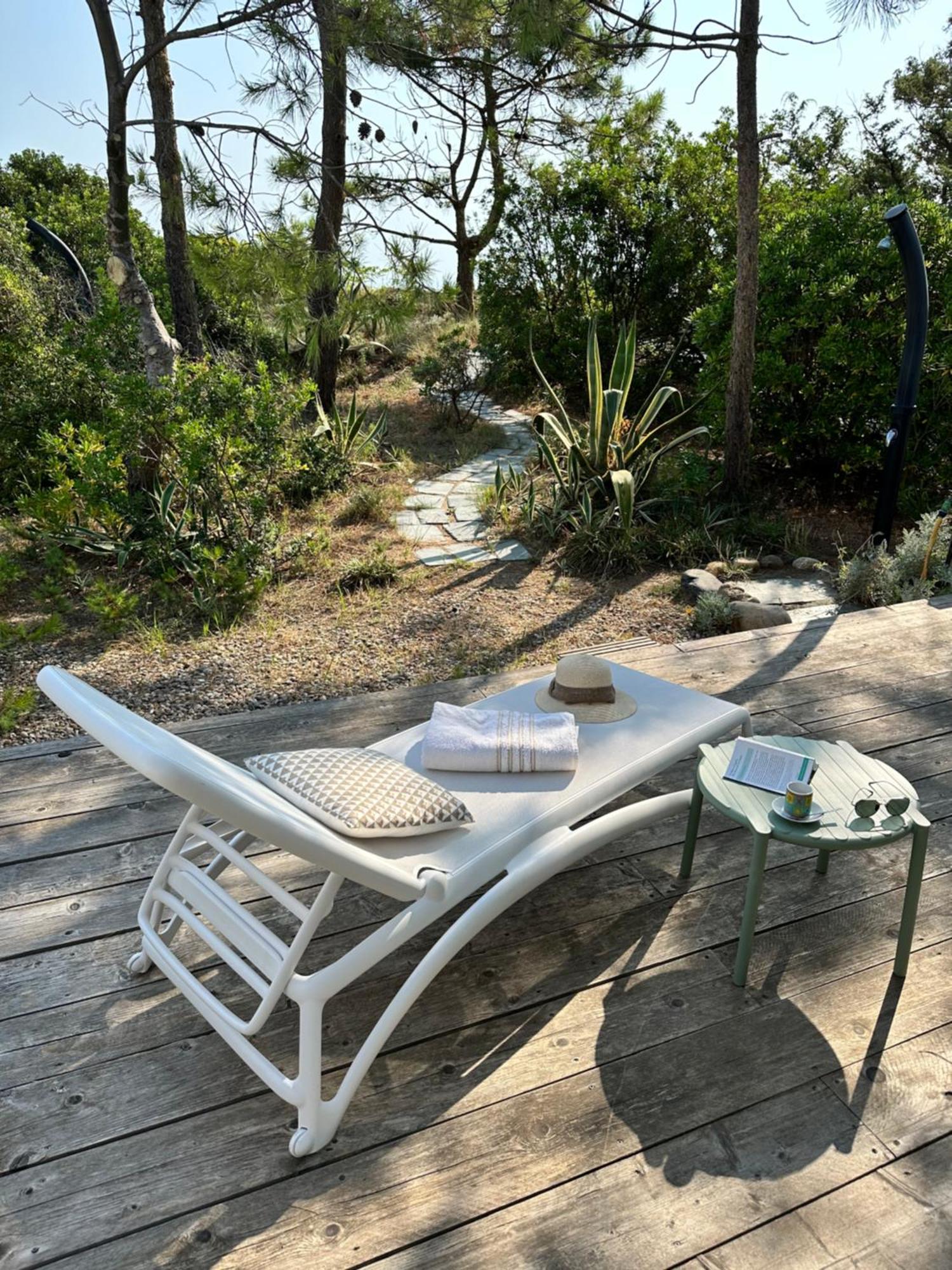 L'alzelle Biguglia (Corsica)